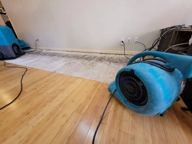 Professional Ceiling Water Damage Repair technician working in Florence, CO